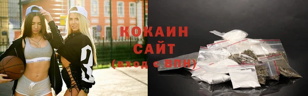 тгк Алзамай