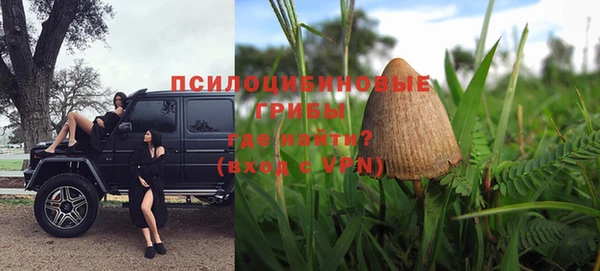 тгк Алзамай